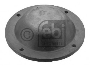 Ковпак ступиці daf (пр-во FEBI BILSTEIN)