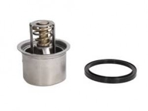 Термостат RVI MACK (вир-во PAI)