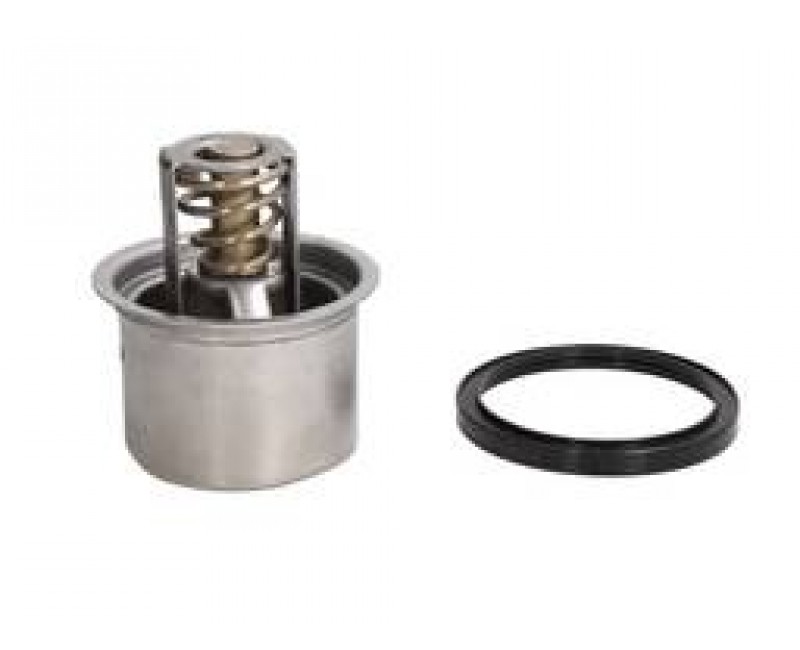 Термостат RVI MACK (вир-во PAI)