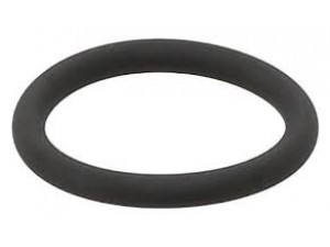 Кільце під форсунку (20.9/26.9X3 FPM RD)