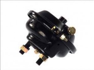 Гальмівний  енергоакумулятор 20 (вир-во Truck Line)