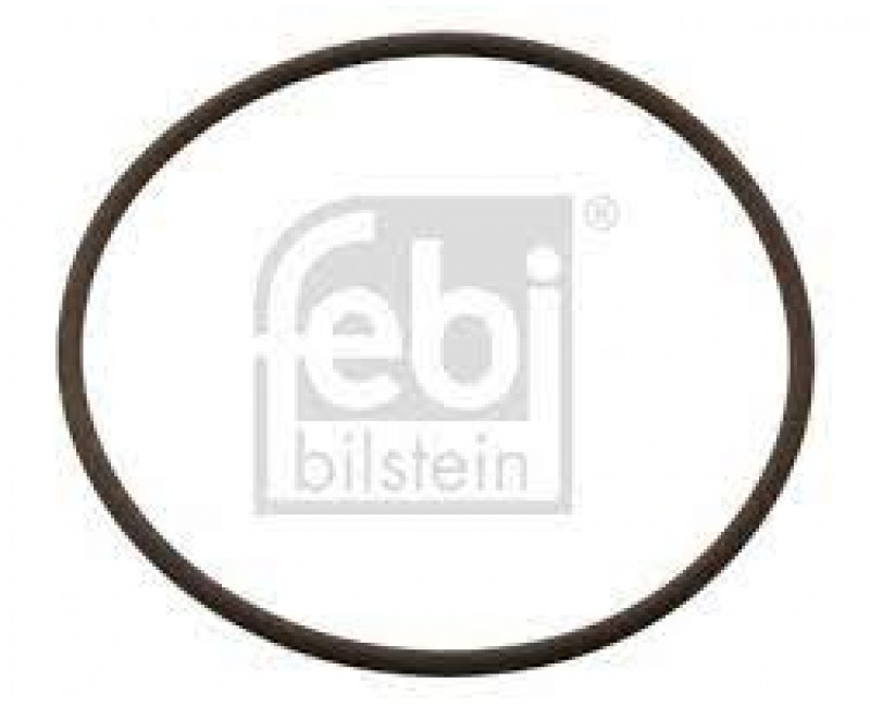 Термостат прокладка (79x85x3mm) DAF 75 CF,85