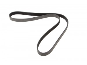 Ремінь поліклін. 8PK1635HD TRUCK (вир-во DAYCO)(man без кондиціонера)