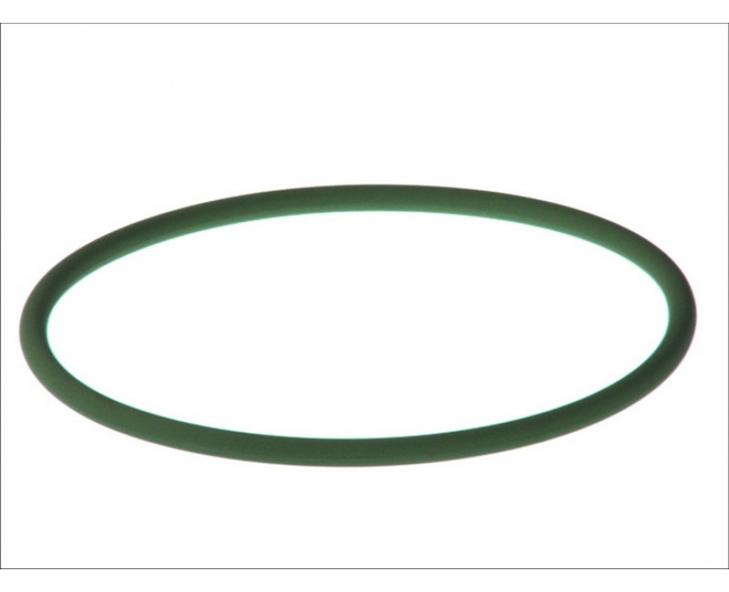 Уплотнительное кольцо ступици DAF (Пр-во DAF)