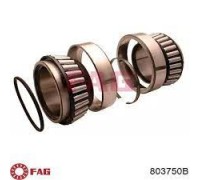 Подшипник ступицы MAN TGA, MB BUS, NEOPLAN (пр-во FAG)