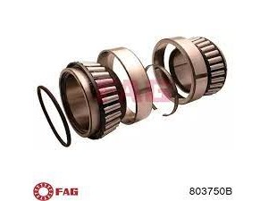 Підшипник ступиці MAN TGA, MB BUS, NEOPLAN (вир-во FAG)