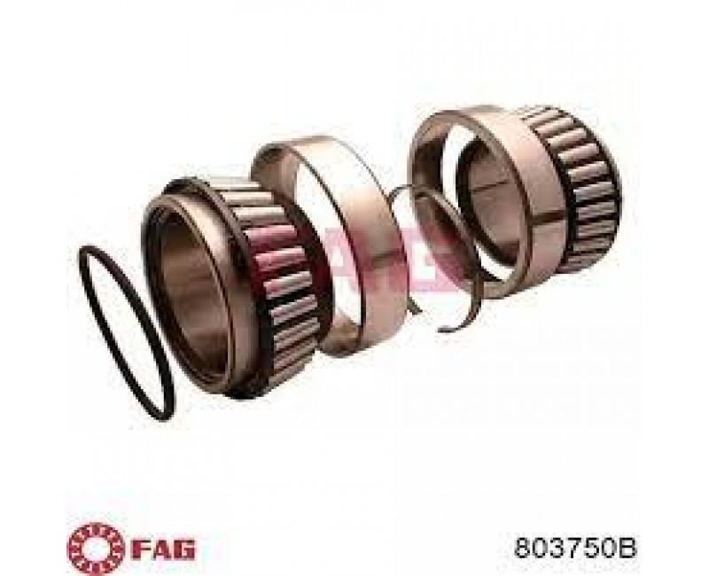 Підшипник ступиці MAN TGA, MB BUS, NEOPLAN (вир-во FAG)