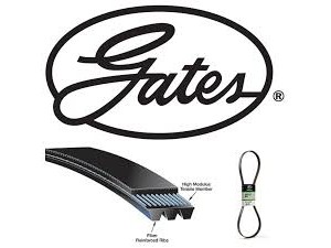 Ремінь полікліновий 10PK1725 (вир-во Gates)