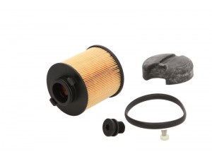 Фільтр Adblue DAF (TRUCK) (вир-во Hengst)