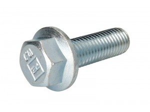 Болт кріплення супорта M18х55 (вир-во DAF)