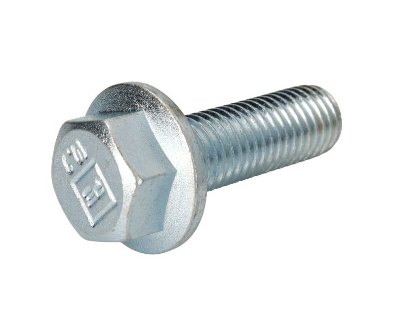 Болт кріплення супорта M18х55 (вир-во DAF)