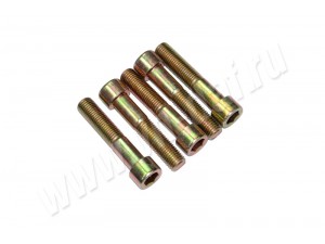 Болт DAF кріплення пневморесори