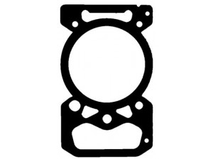 Прокладка, головка циліндра (вир-во REINZ)