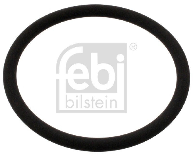 Кільце ущільнююче (вир-во FEBI)