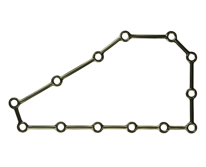 Прокаладка КПП (проіз. Ricambi) (FPP)