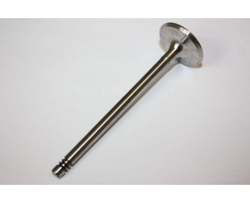 Клапан двигуна (44.0X10.0X169.8) DAF 130.0 R6 MX13