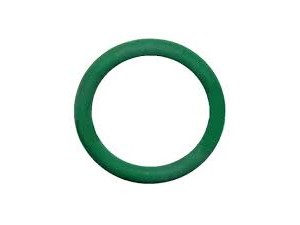 Кільце ущільнююче  паливного насоса (вир-во DAF)