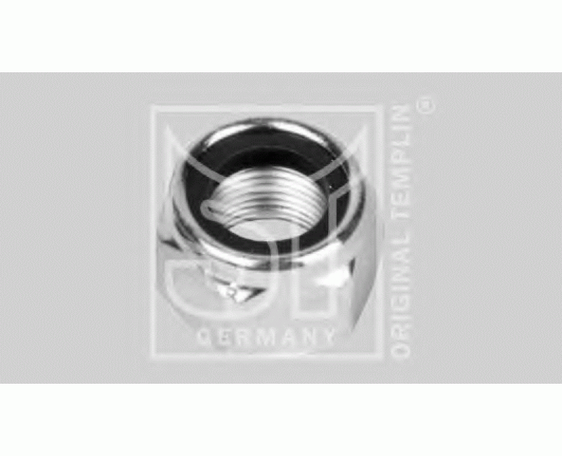 Гайка М24х2 Mercedes, MAN, Volvo, Scania, IVECO, Renault, BPW, SAF (вир-во Templin)