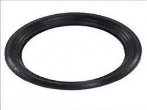 Пильник/сальник підшипника (79x125x5,5) BPW EH 6-9T