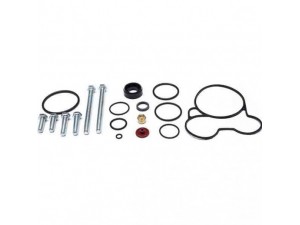 Ремкомплект прискорювального клапана (вир-во TRUCK TECHNIC)