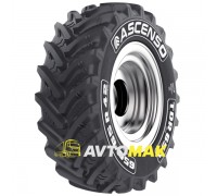 Ascenso TDR 650 (с/г) 420/65 R20 135D